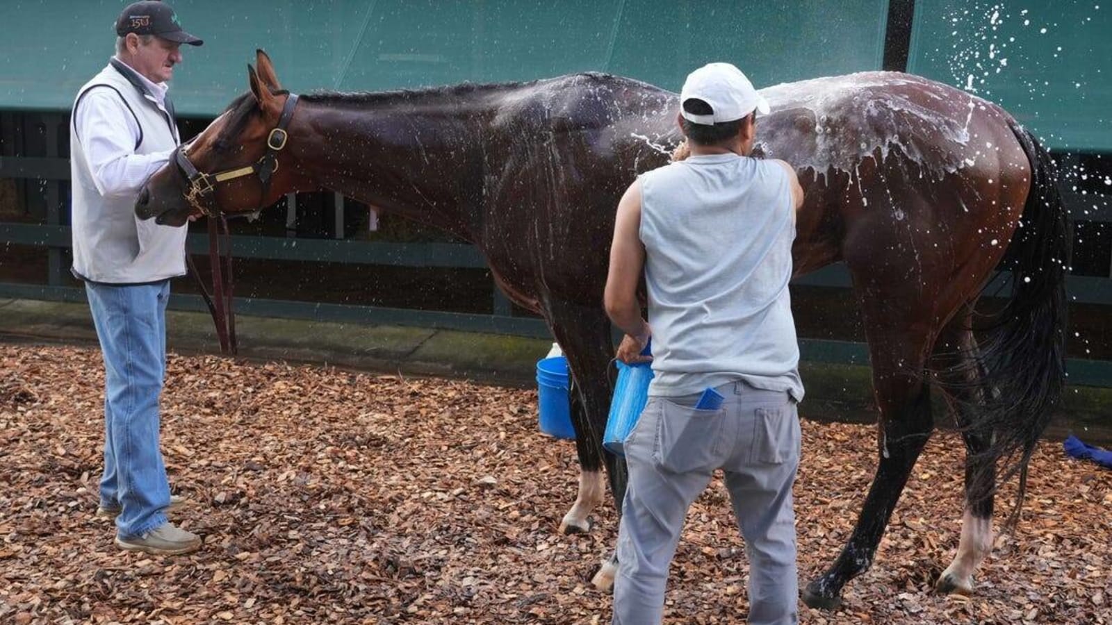 Preakness favorite Muth scratched, setting up Derby winner Mystik Dan