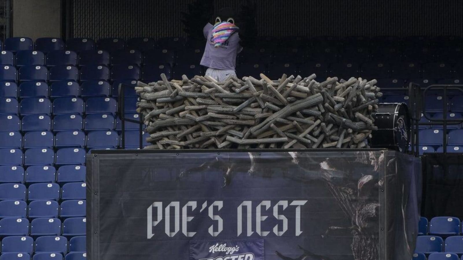 Nevermore: Injured Ravens mascot Poe out for season