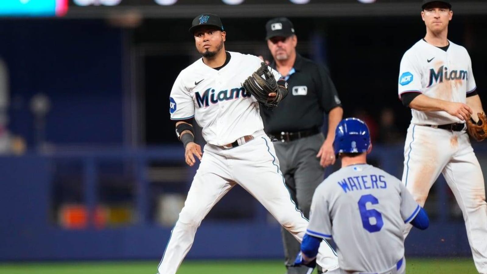 Marlins host bark at the park, 06/09/2019