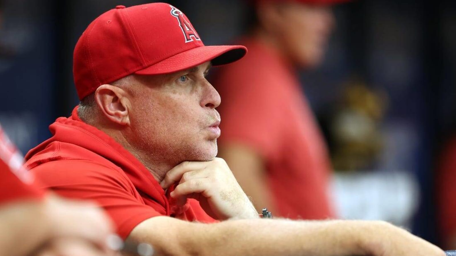 Angels will not bring back manager Phil Nevin