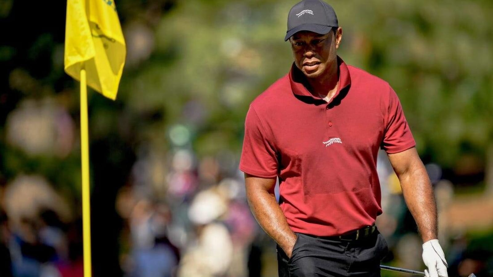 Tiger Woods: Still on track for tournament per month target