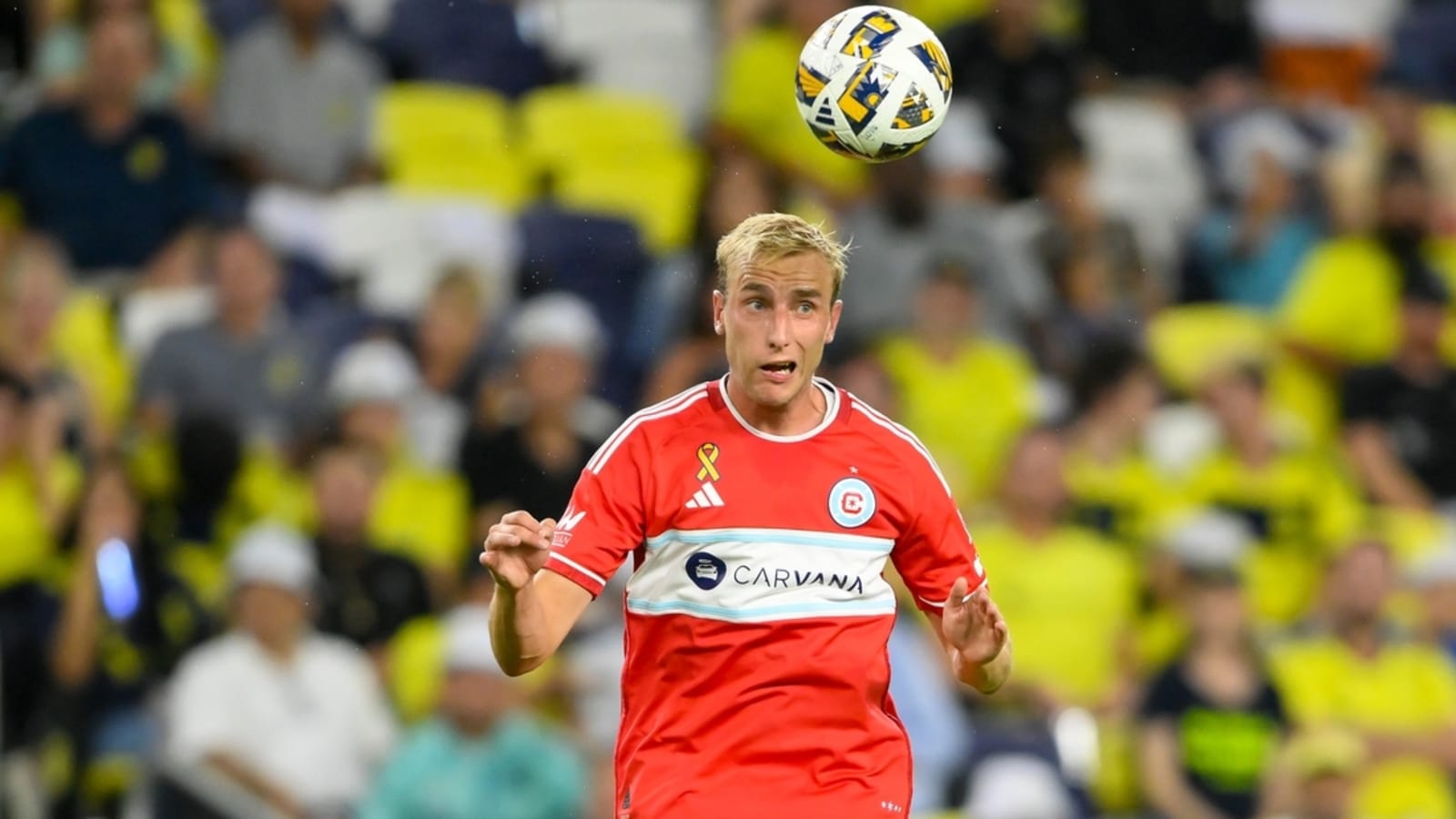 Revolution sign D Wyatt Omsberg