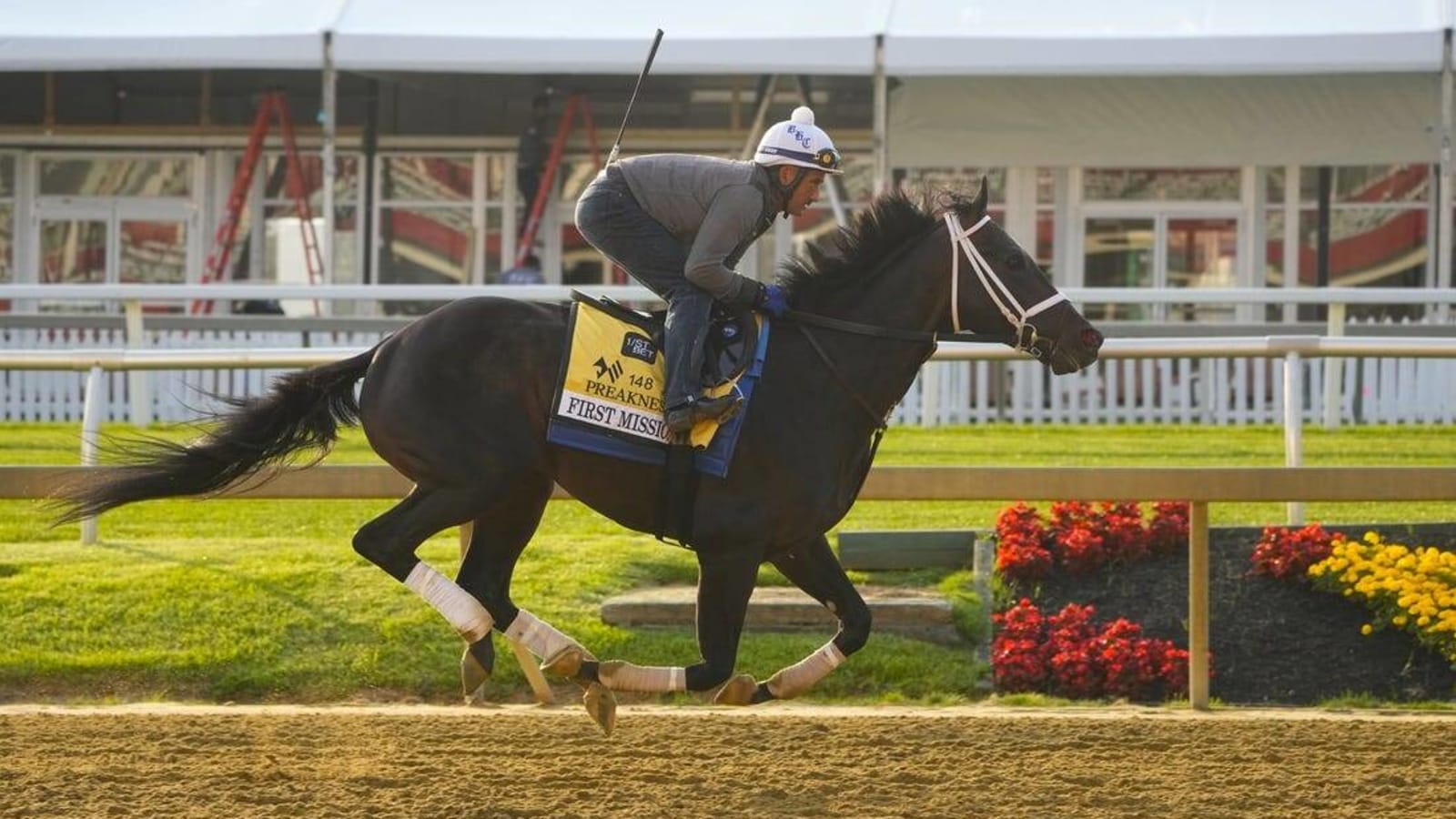 First Mission scratched from Preakness Stakes