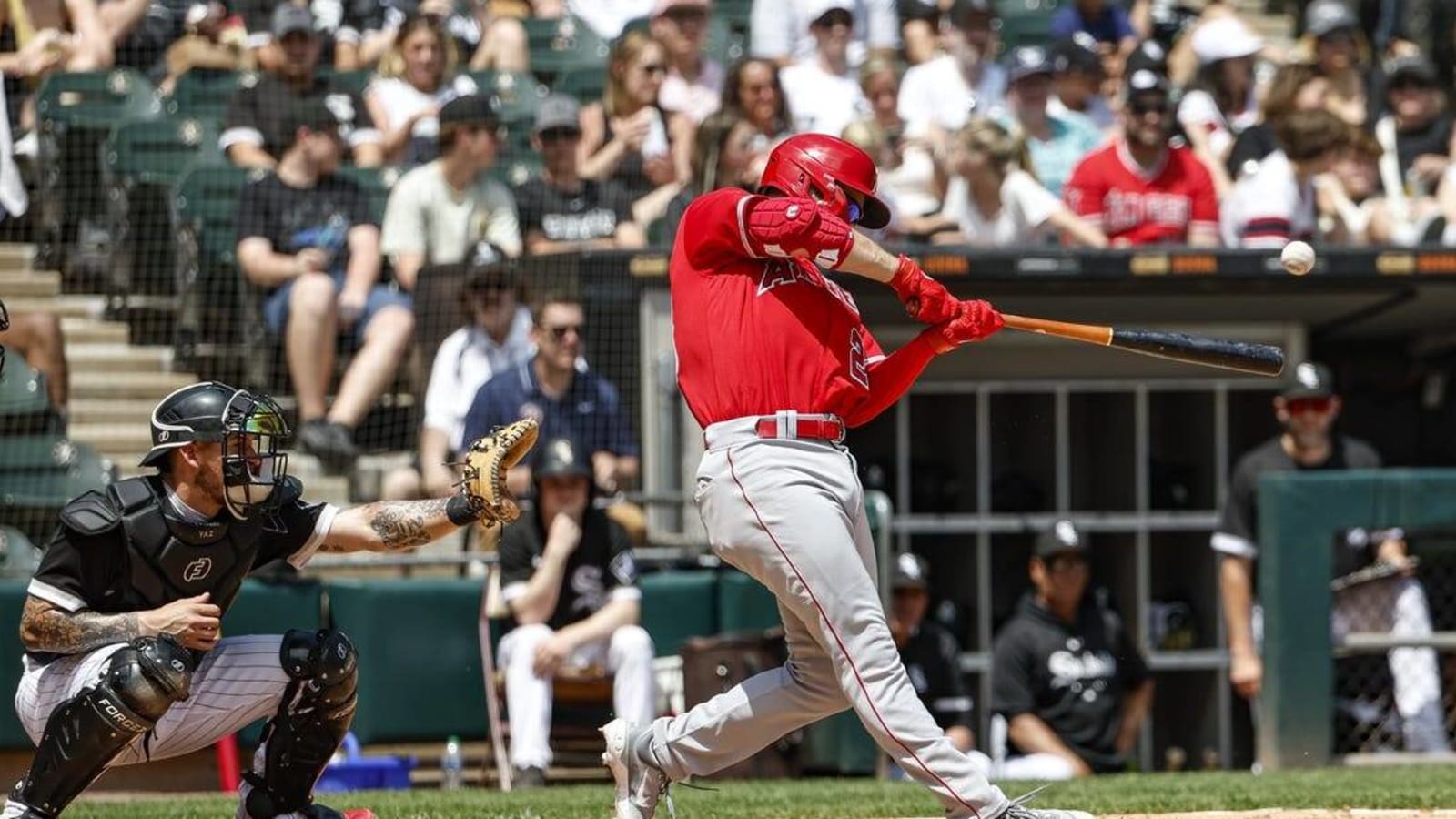 Angels rout White Sox as Shohei Ohtani homers twice