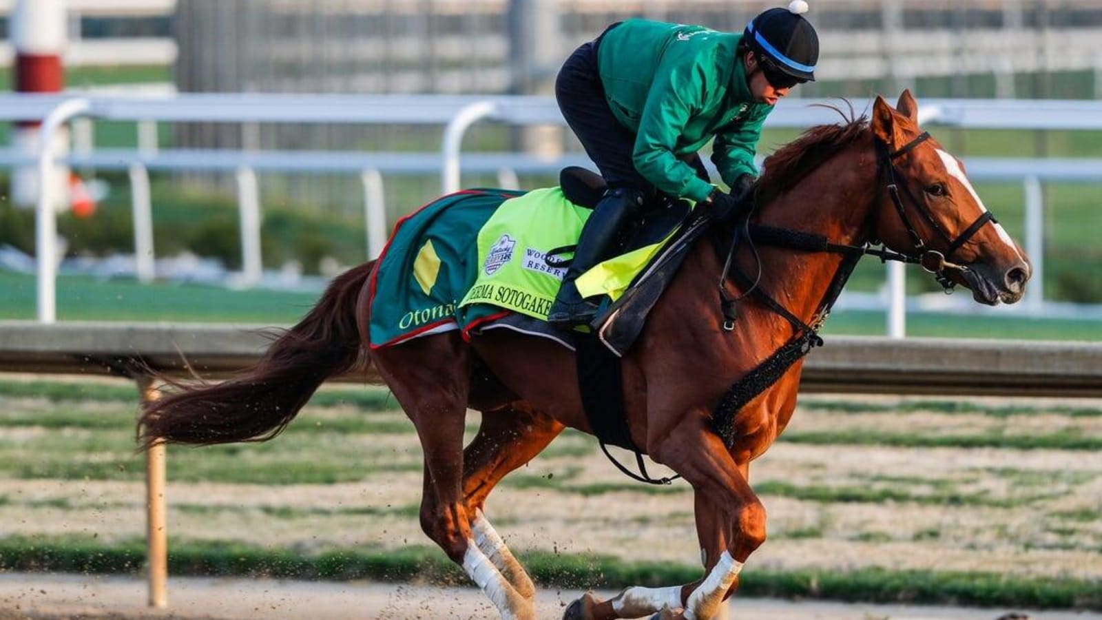 Kentucky Derby picks: Derma Sotogake has look of Derby winner