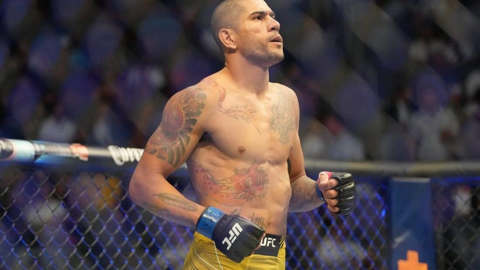 Alex Pereira TKOs Israel Adesanya at UFC 281, claims belt
