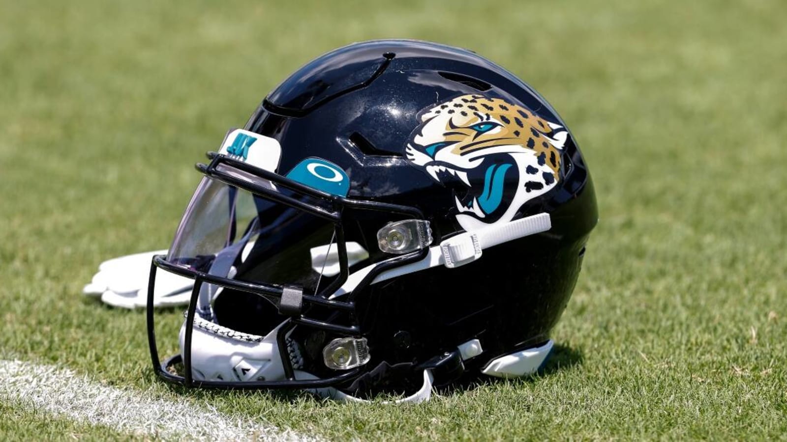 Jacksonville Jaguars strength assistant comes out as gay in first for men’s pro coaching