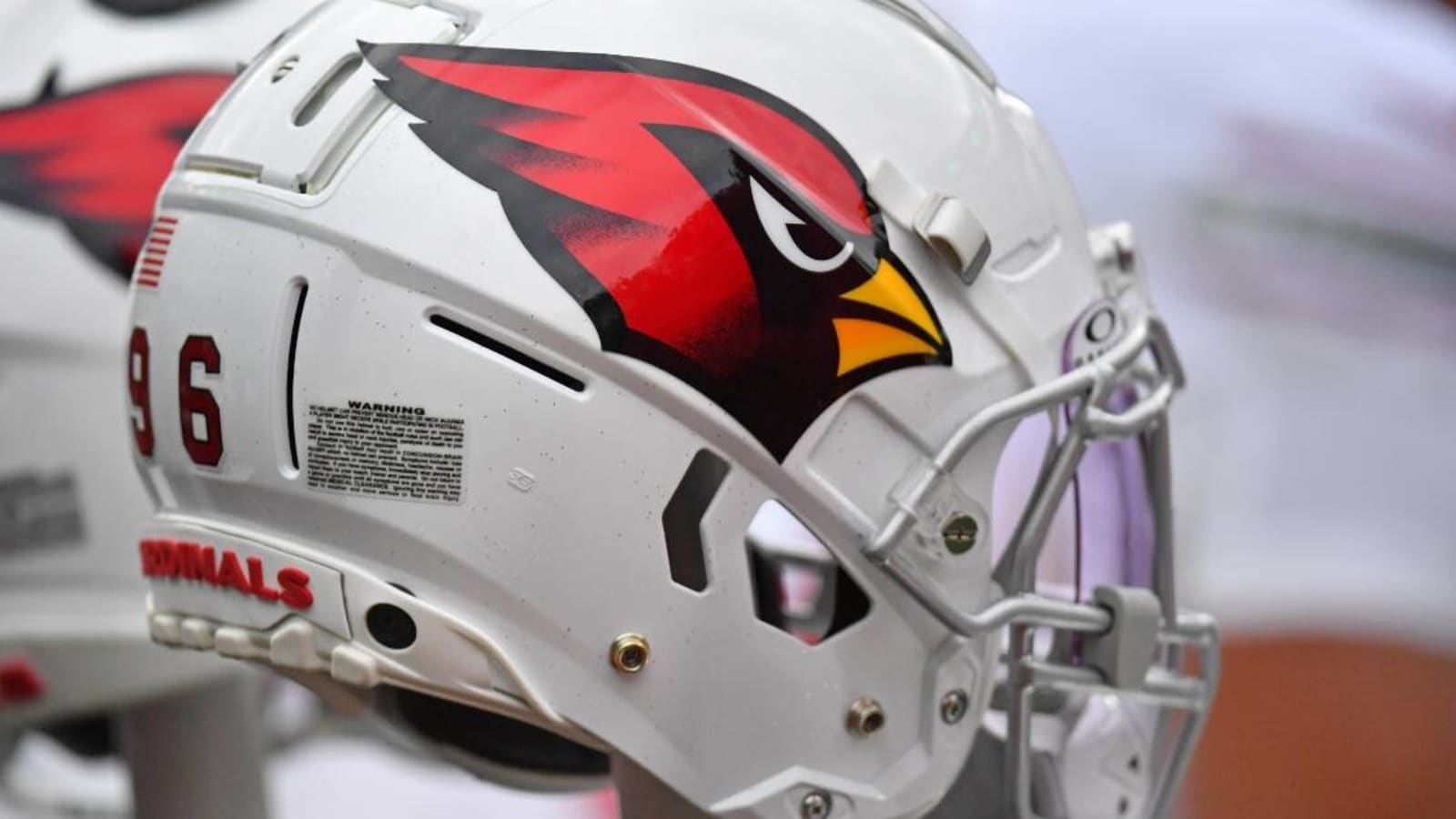 Former Arizona Cardinals executive Terry McDonough accused of choking neighbor over farm equipment