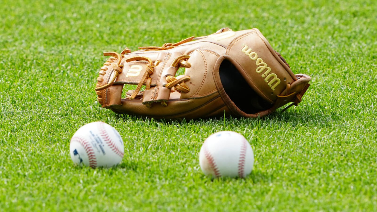 Minor league player delivers catch of the year candidate