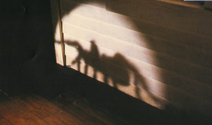 “Arachnophobia” (1990)