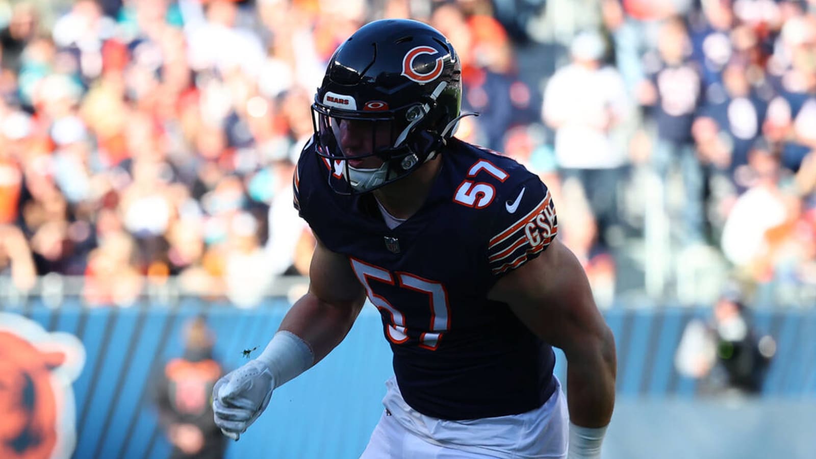 Chicago Bears 2022: News, Schedule, Roster, Score, Injury Report