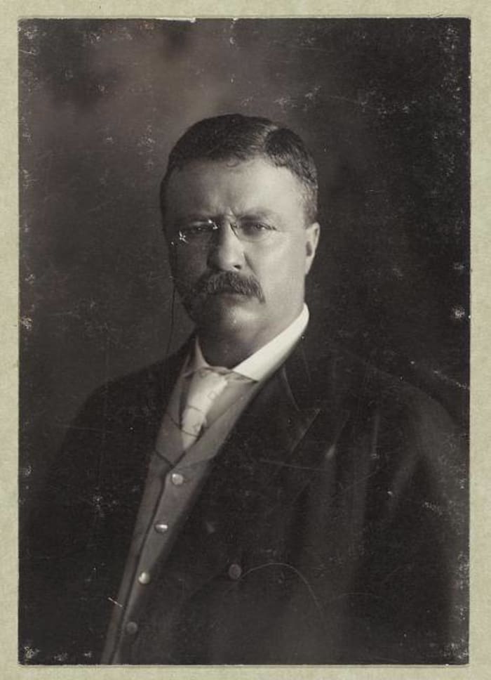 Theodore Roosevelt