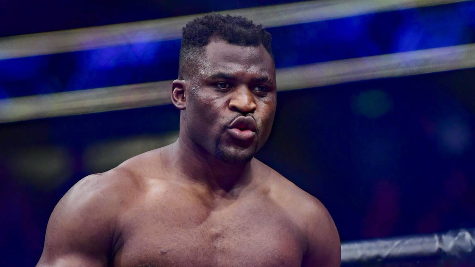 WBC officially ranks Francis Ngannou after close loss to Tyson Fury