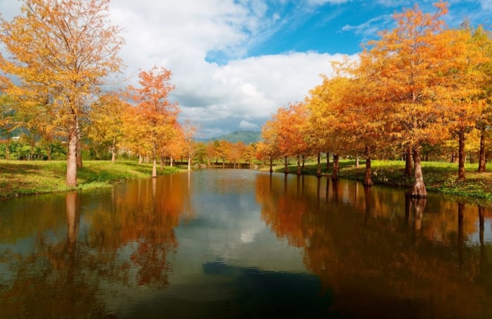 Yangmingshan National Park, Taiwan