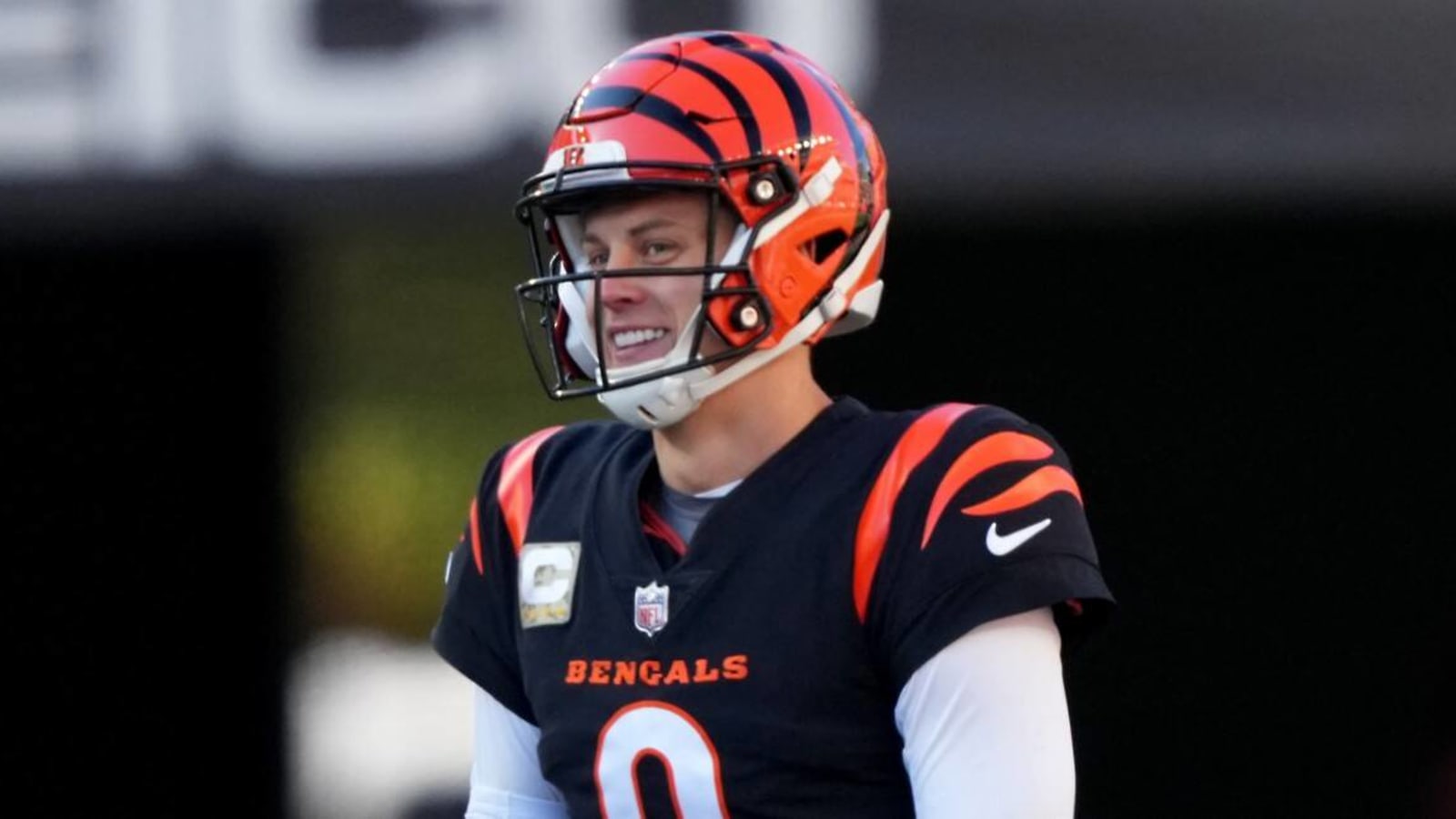 NFL Odds: Cincinnati Bengals Among Favorites to Win Super Bowl LIX