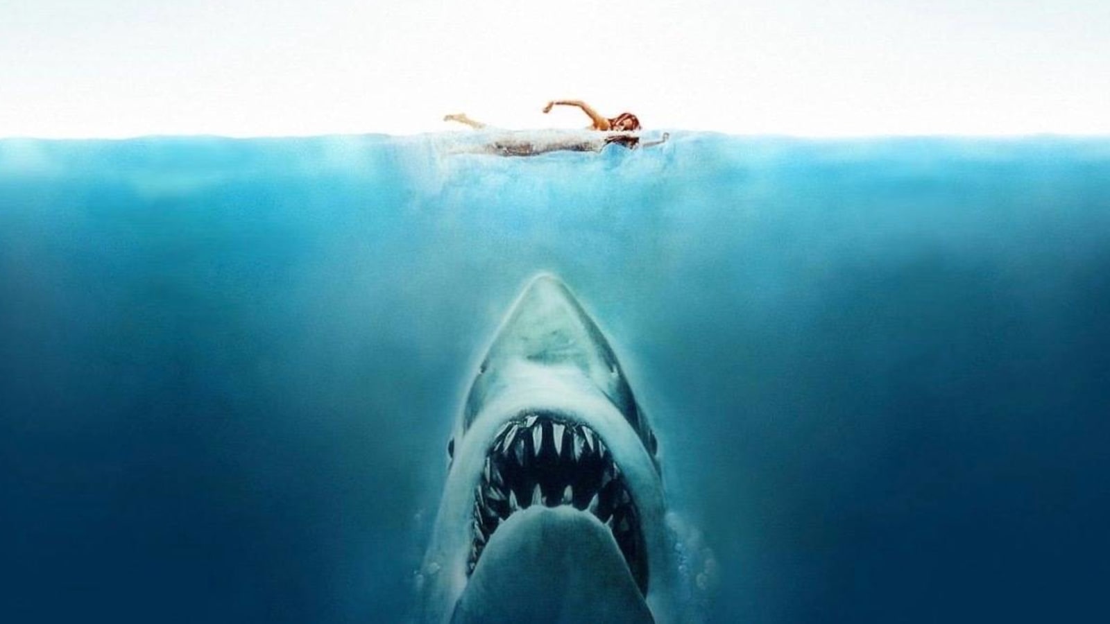 Jaws' Trivia: 20 Facts You Might Not Know About the Movie