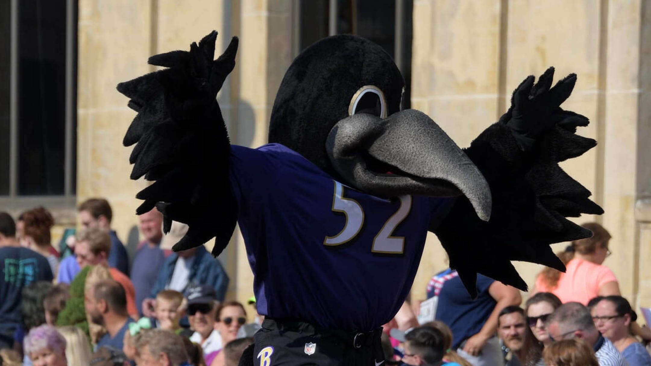 Watch: Ravens' mascot suffers knee injury during halftime show