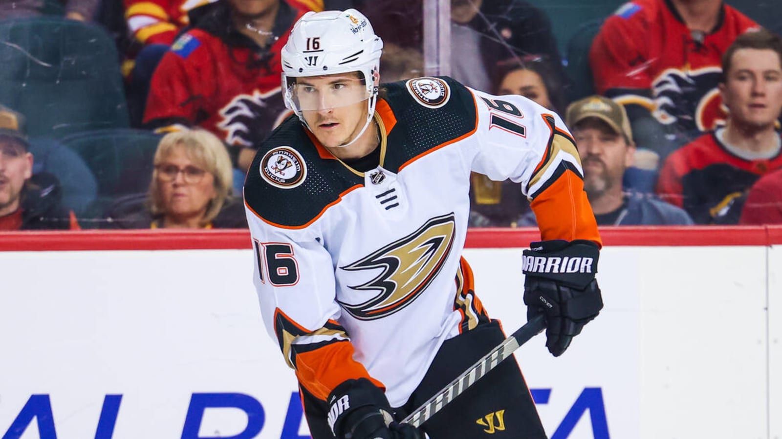 Ducks forward fined $5,000 for unsportsmanlike conduct