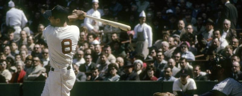 Diamondbacks' Zac Gallen hits bird with throw, evoking memories of Randy  Johnson, Dave Winfield