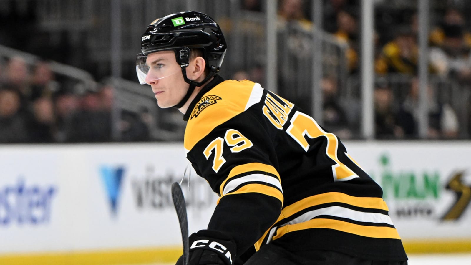 Bruins recall Fabian Lysell, Michael Callahan