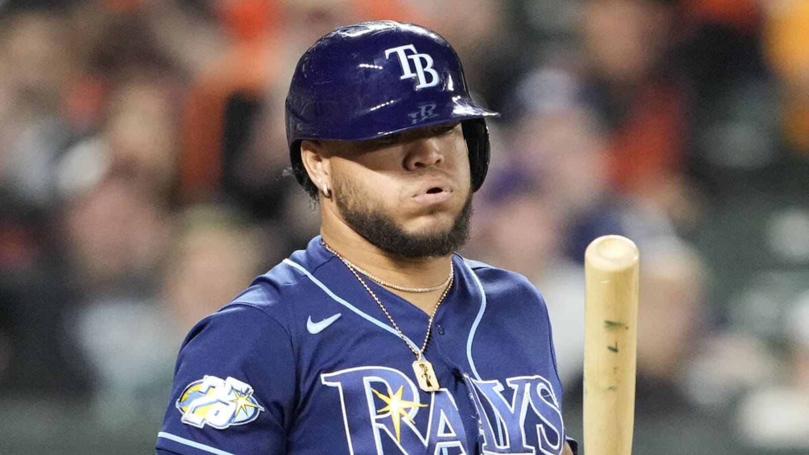 Veteran DH/OF loses arbitration hearing to Rays