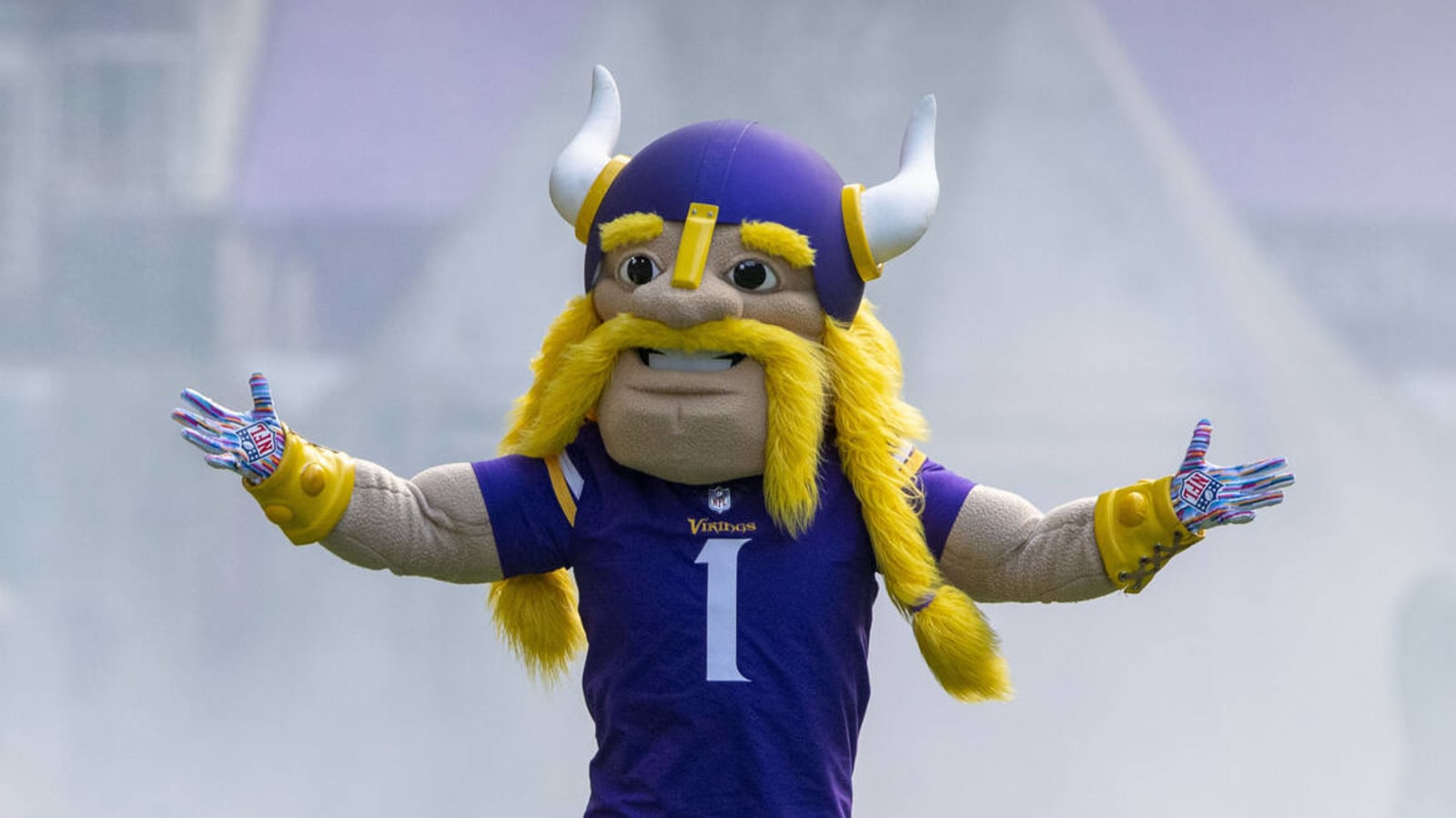 Vikings rank among worst-paying NFL franchises for mascots