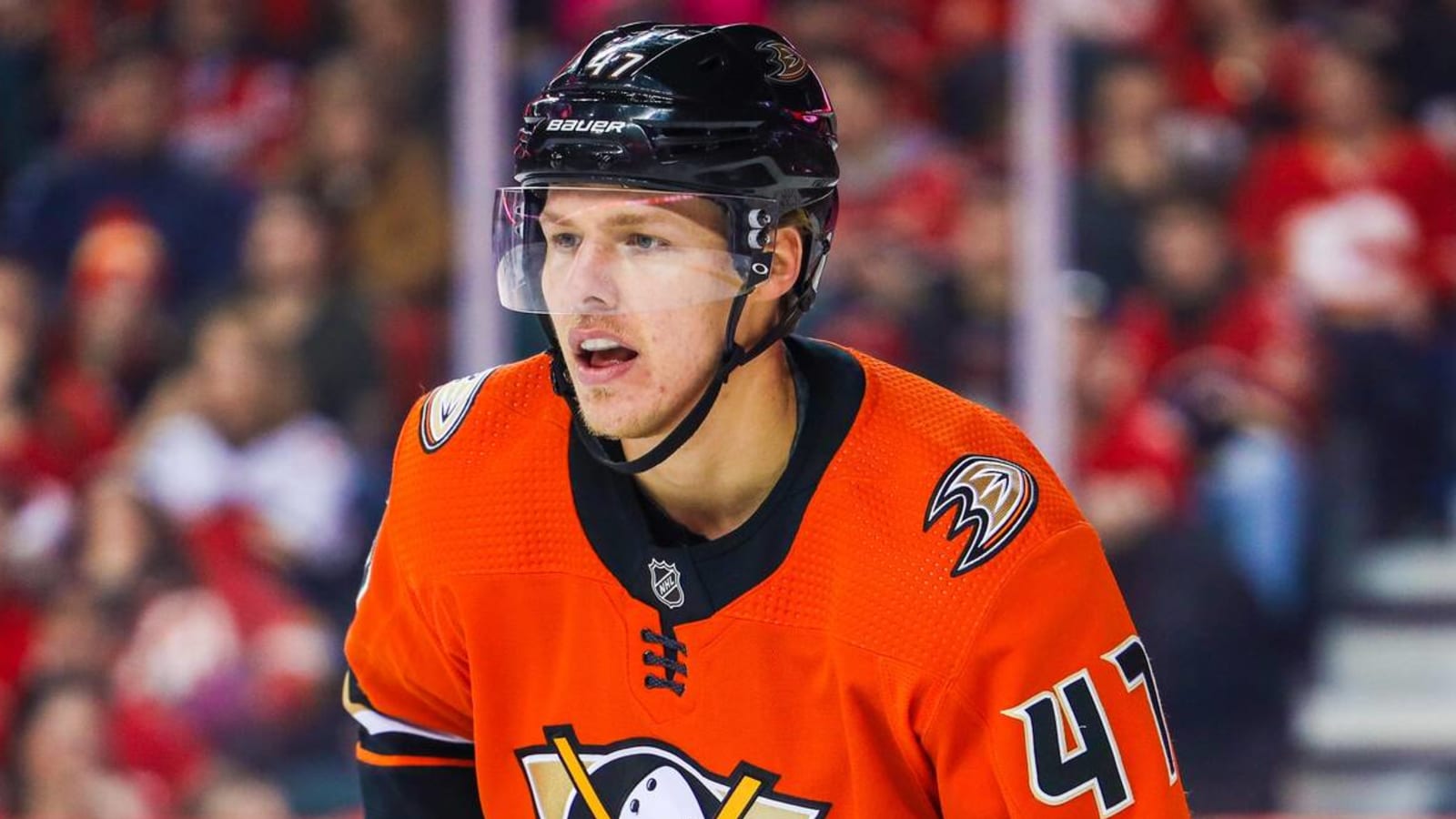 Ducks prefer to re-sign their unrestricted free agents