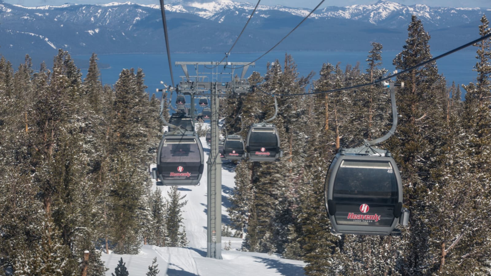 Wife Files Lawsuit After Snowboarder Suffocates at Lake Tahoe Ski Area
