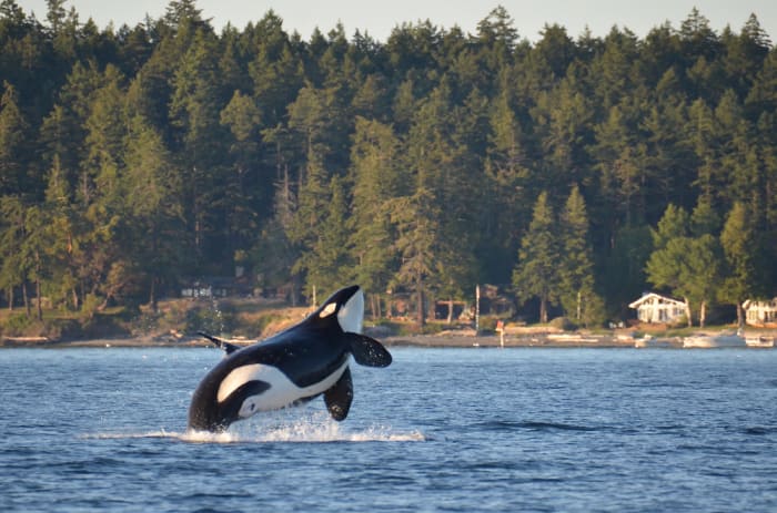 San Juan Islands, United States