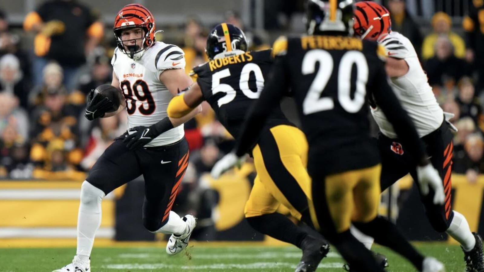 Ex-Husky TE Drew Sample Earns Bengals Contract Extension