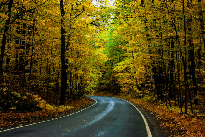 Tunnel of Trees, Michigan