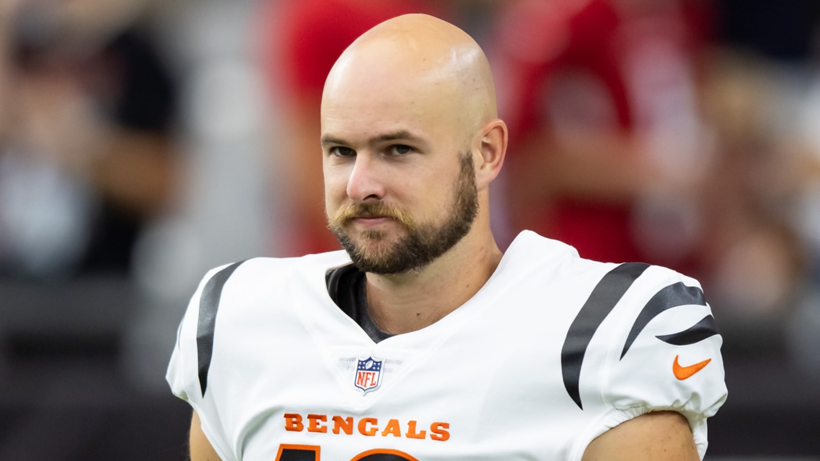 Bengals set for punter decision after activating former starter