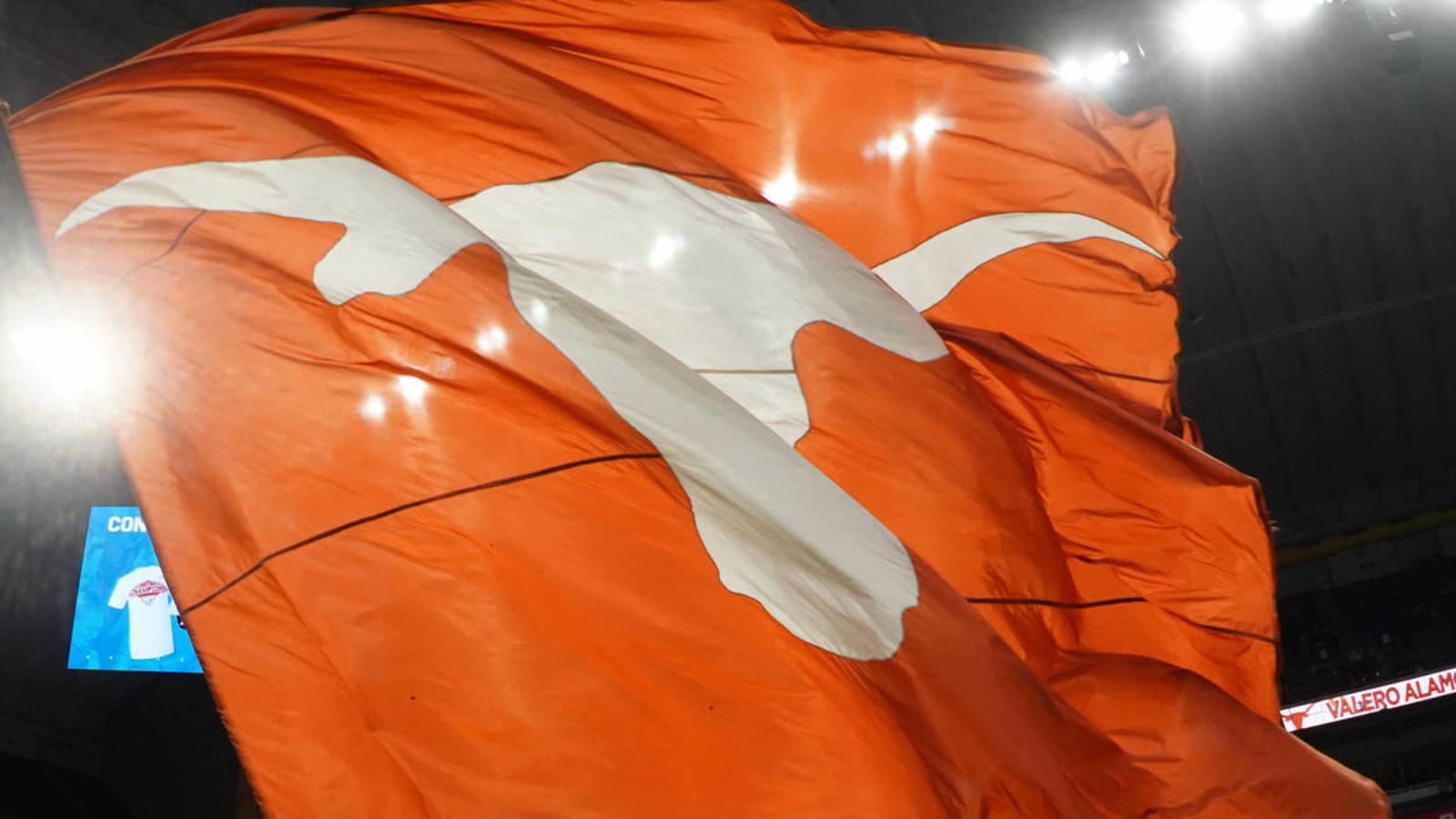 Watch: Opossum runs onto field after Texas baseball game