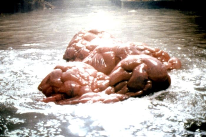 The Blob