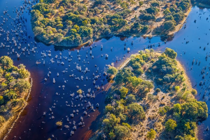 Okavango Delta, Botswana