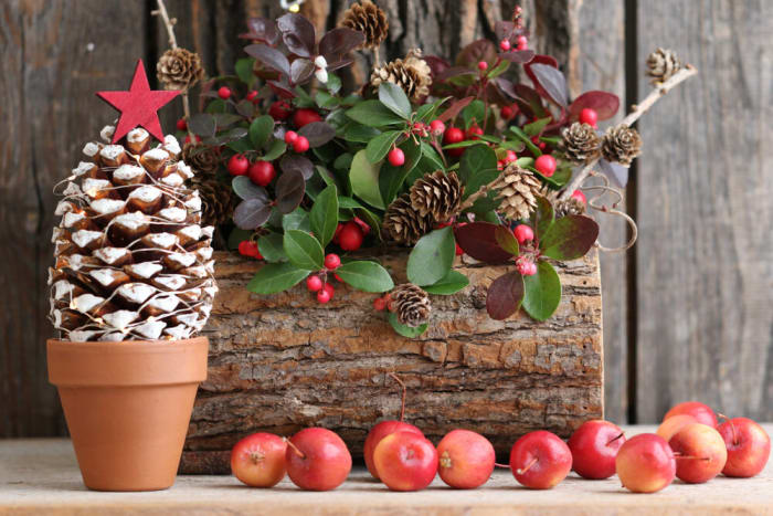 Bring in natural elements like pine cones, evergreen needles, and red berries
