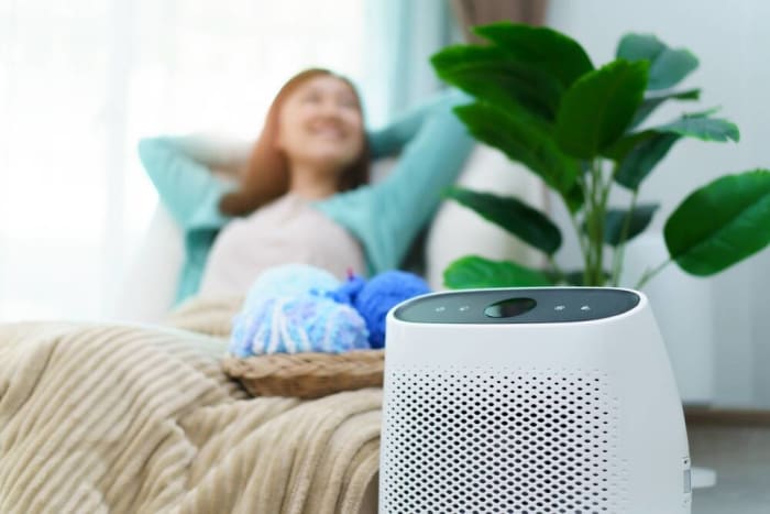 Invest in an air purifier