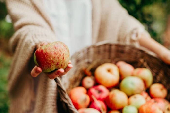 Go apple picking