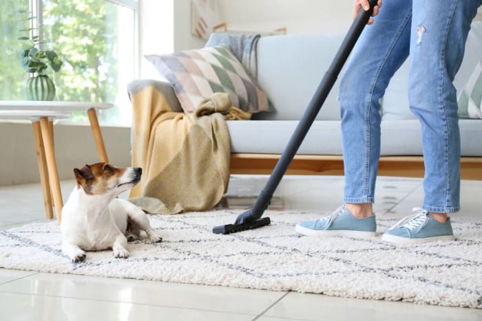 If you can, keep pets off carpeted spaces