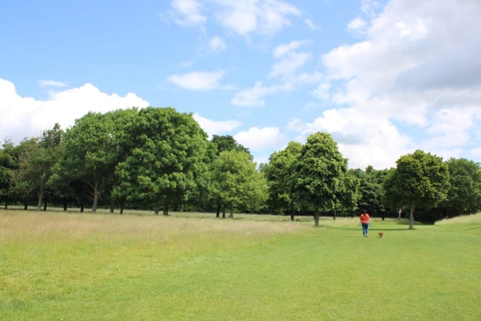 Phoenix Park, Dublin