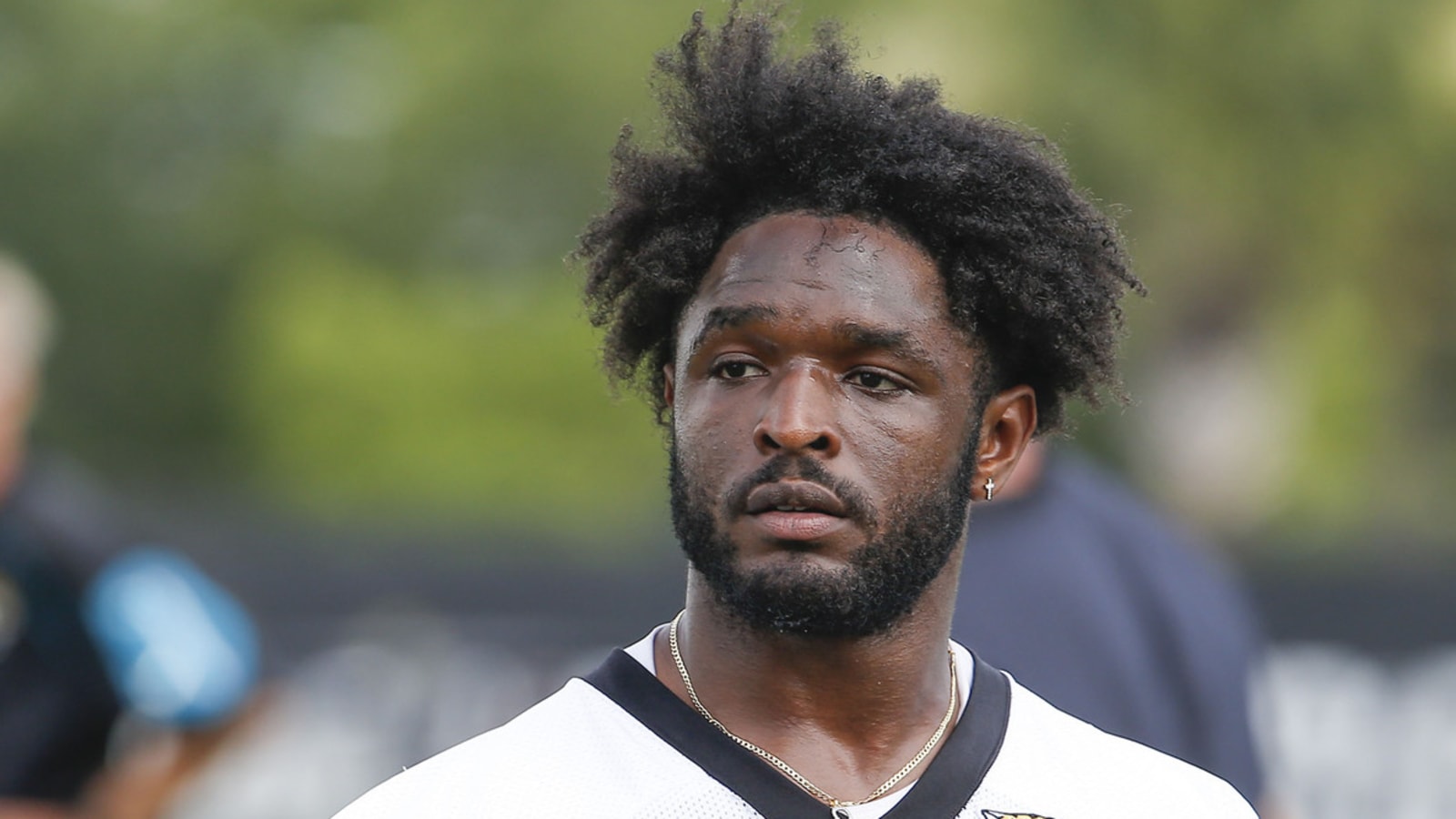 Jets CB Tae Hayes charged with marijuana possession