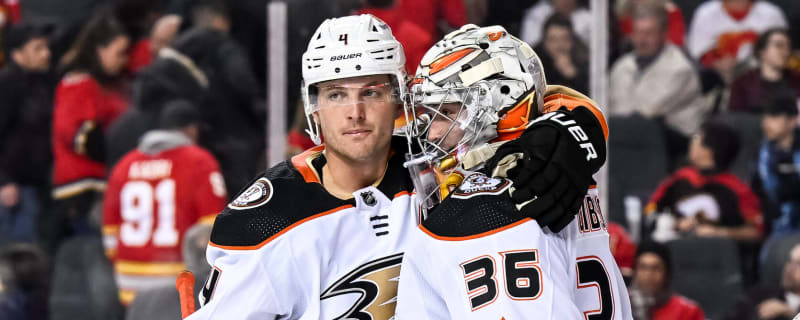 Ducks stock up, stock down