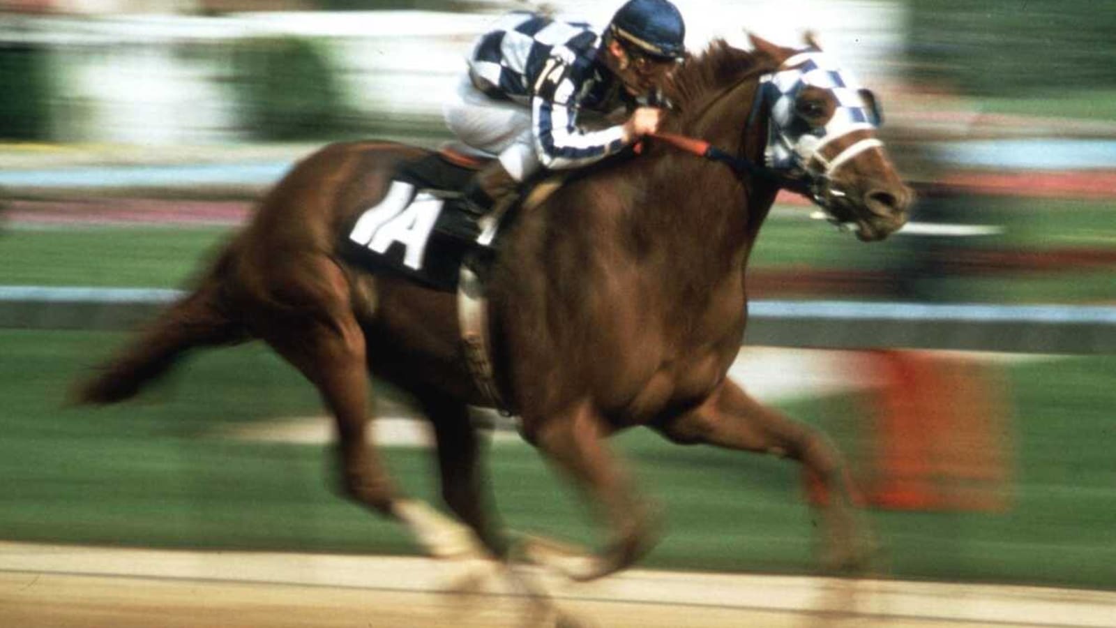 Secretariat&#39;s Birthday to be Celebrated on March 30th