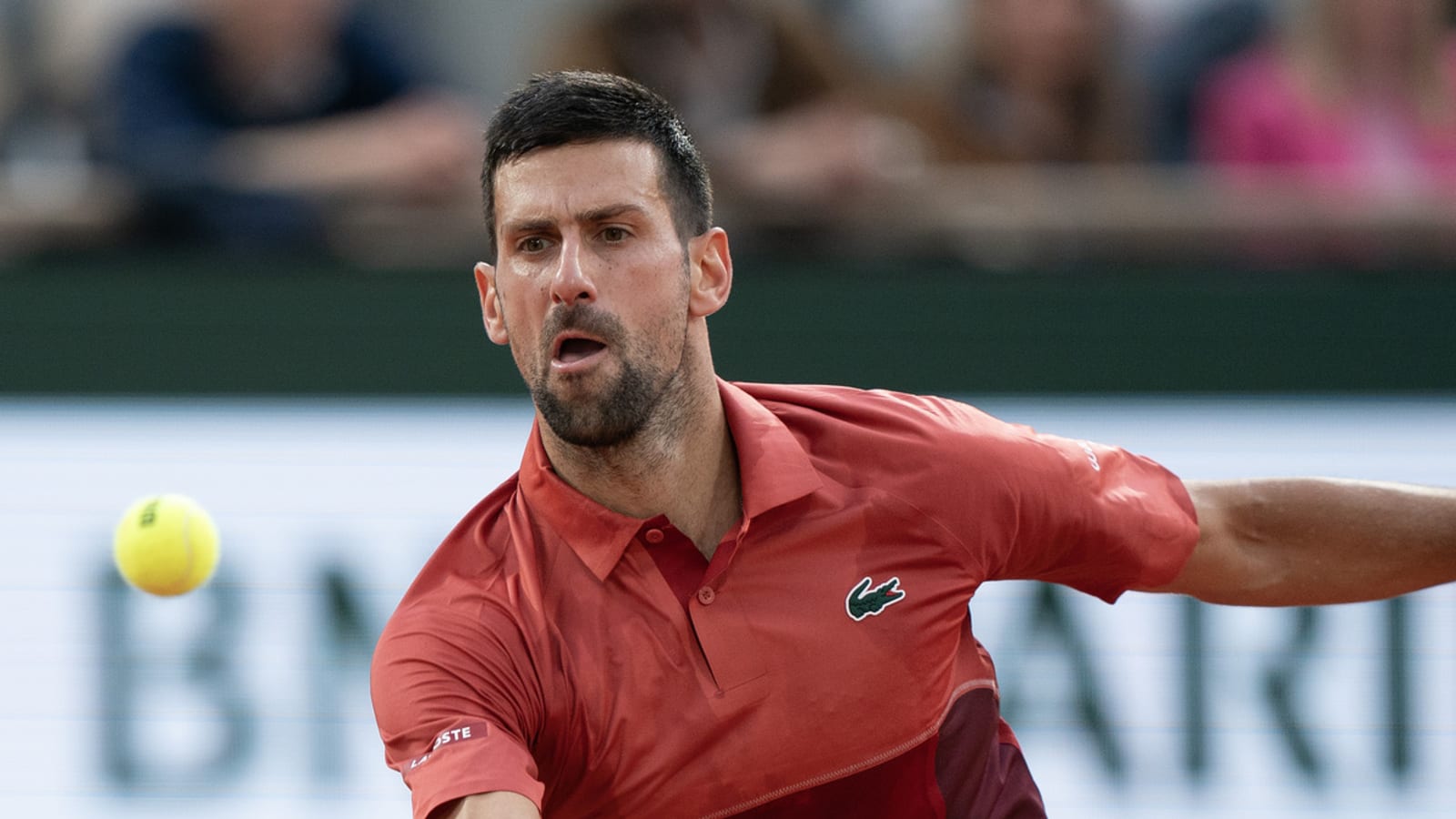 Djokovic confirms Wimbledon status weeks after knee surgery