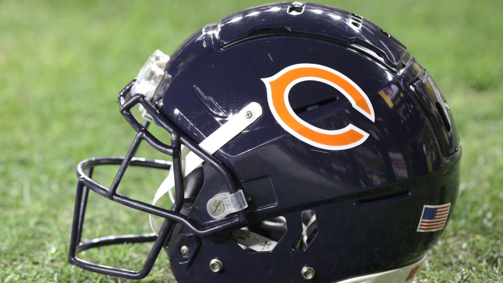 Bears Add Unique Coach to Their Team