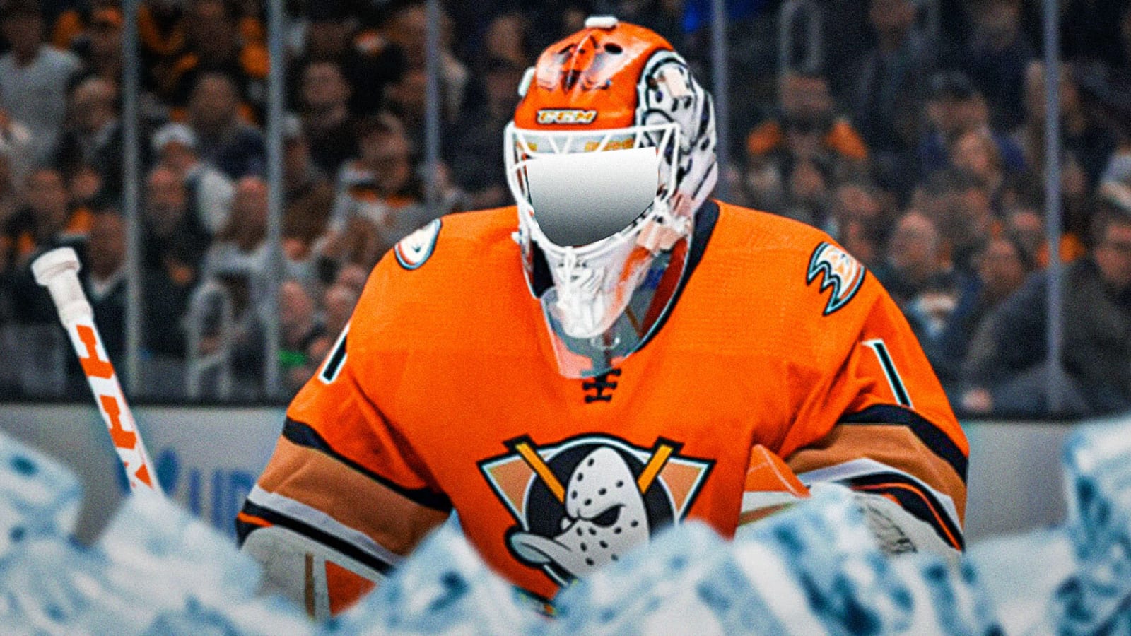 Ducks make eyebrow-raising goaltending addition