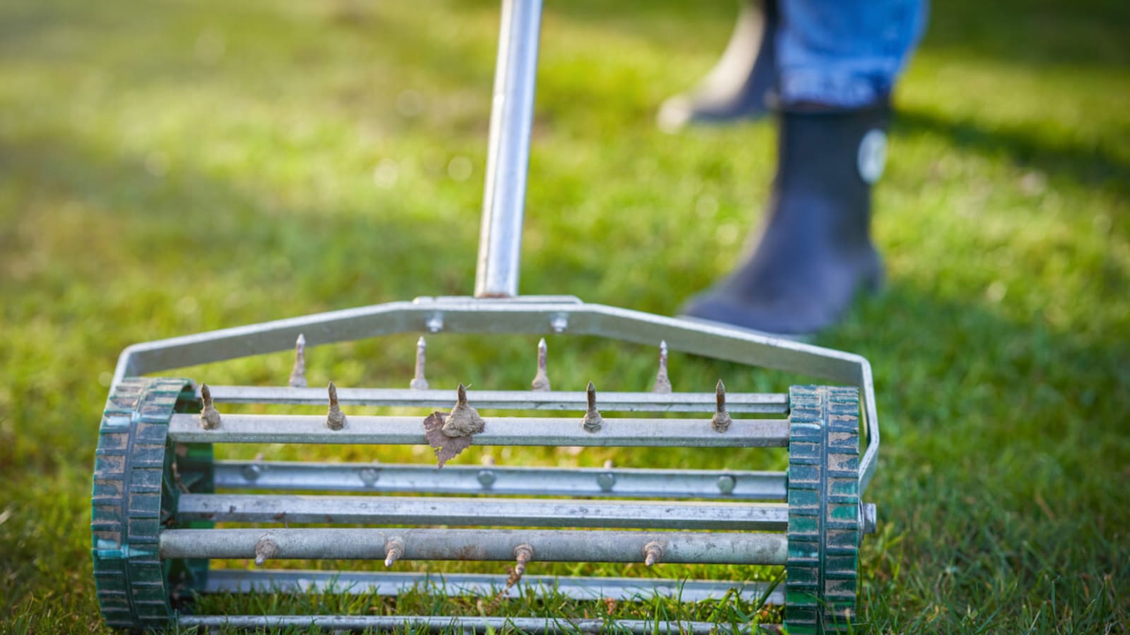 How Often Should You Aerate Your Lawn?