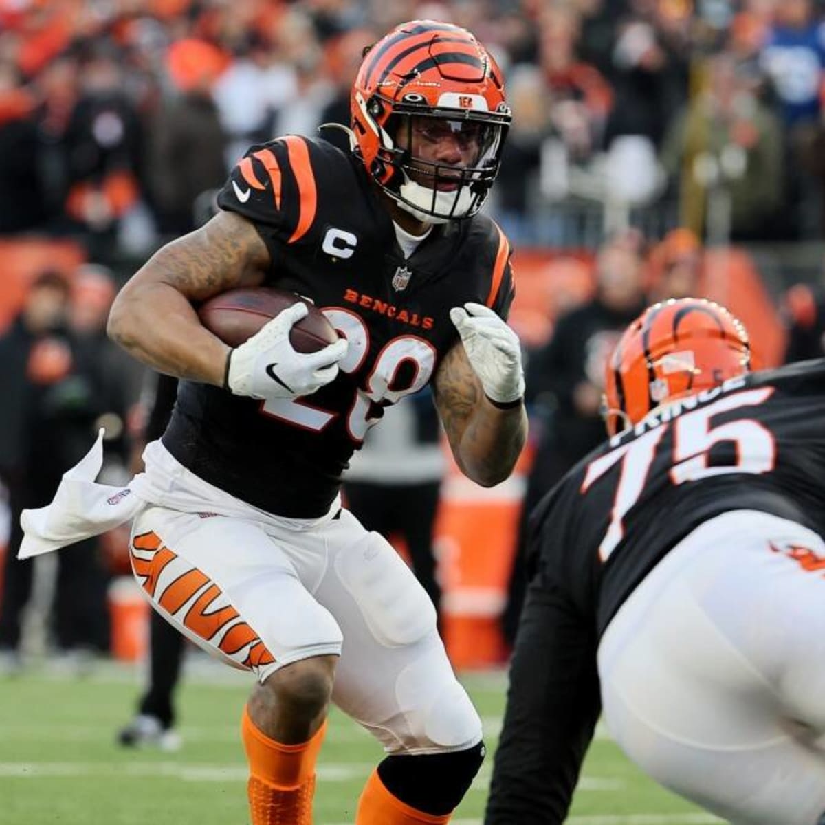 Ravens vs Bengals Odds, Preview: Cincy Favored in AFC Wild Card Game