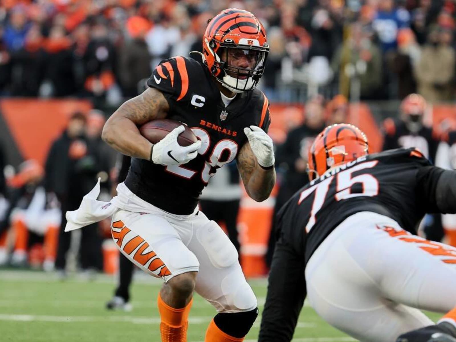 cincinnati bengals versus the baltimore ravens