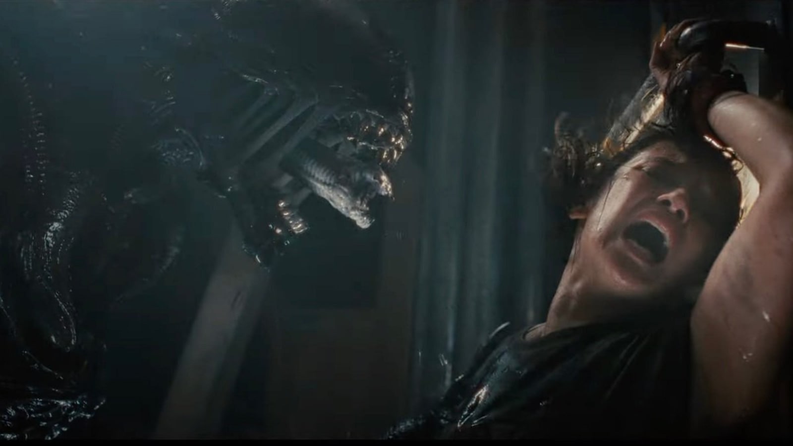 Breaking Down ALIEN: ROMULUS’ Major Deaths